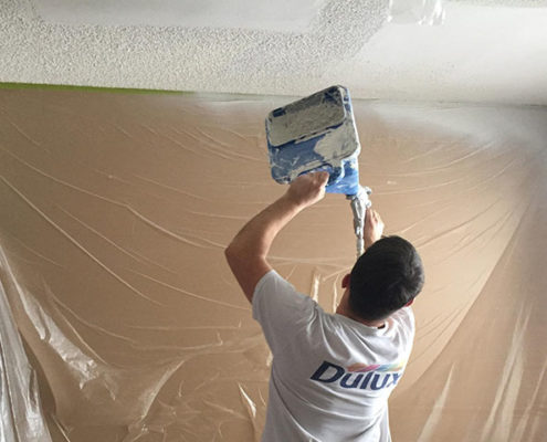 room ceiling painting Langley